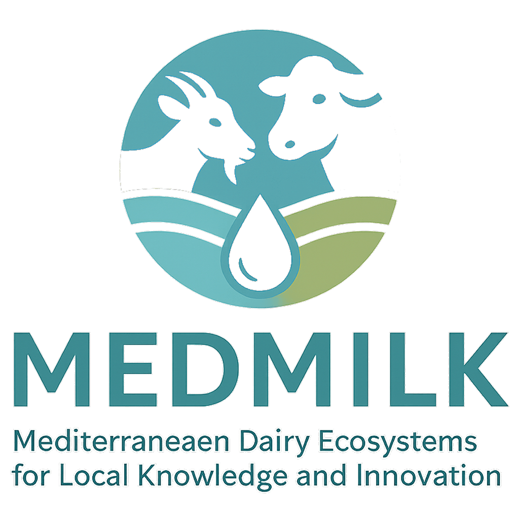  project logo